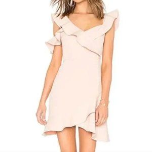 BCBGMaxAzria Malik Dress in Bare Pink Size 10